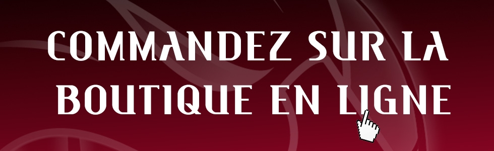bandeau boutique en ligne